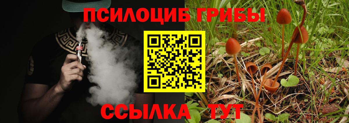 Галлюциногенные грибы MAGIC MUSHROOMS  Вход с VPN  купить закладку  Похвистнево 