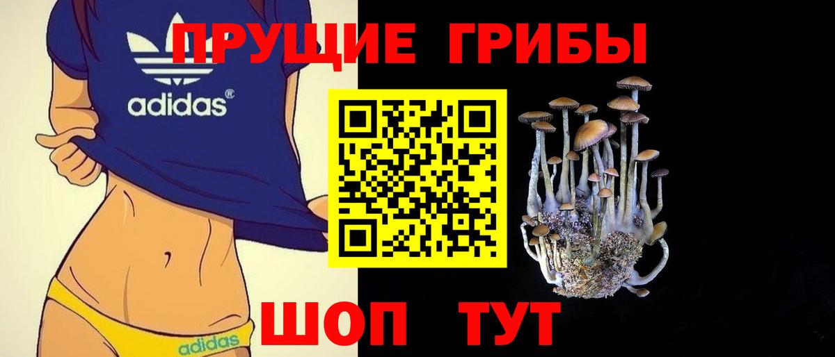 Псилоцибиновые грибы ЛСД Похвистнево